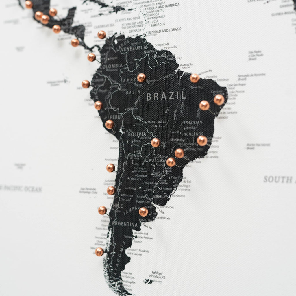 World Map on Canvas - Onyx