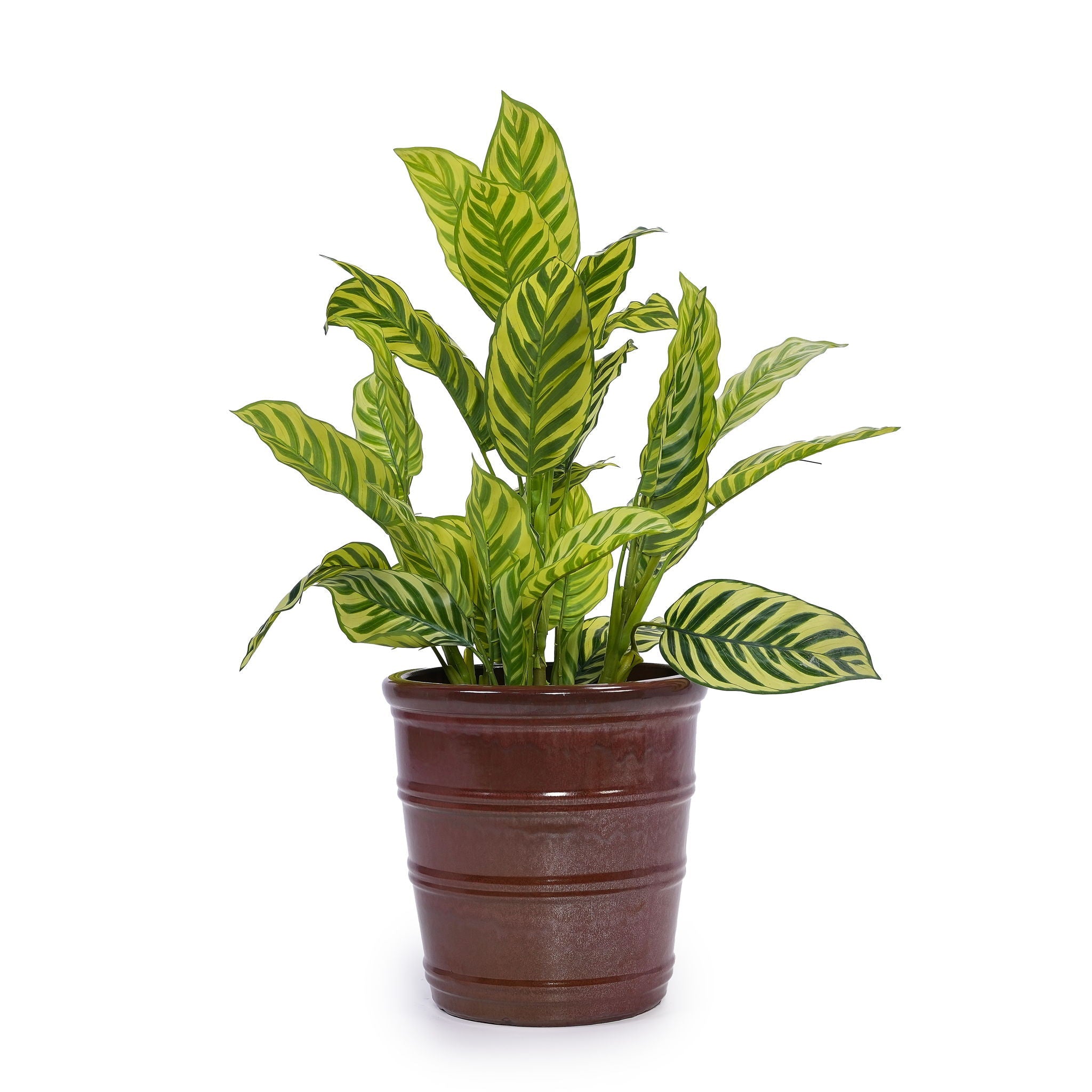 3 Pieces Flowerpot, Planter For Patio, Garden Or Windowsills
